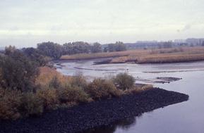 Blick auf den "Bauernsand" im Naturschutzgebiet Heuckenlock in Hamburg