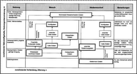 Flussdiagramm der Grabengenese bei unterschiedlichen Wasserverhltnissen und Belastungen